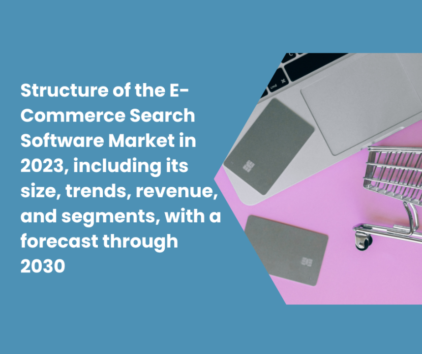 Structure of the E-Commerce Search Software Market in 2023